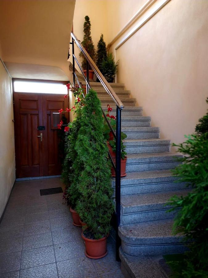 Villa Casa Ioana Braşov Eksteriør billede