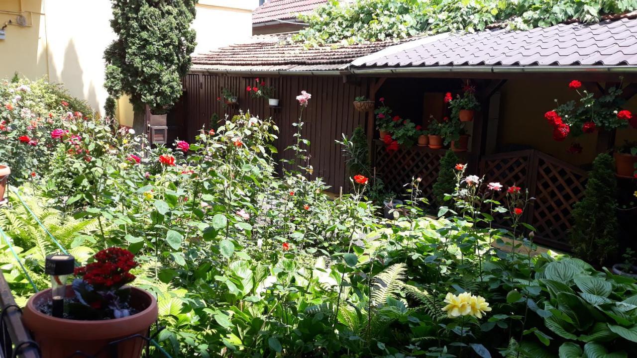 Villa Casa Ioana Braşov Eksteriør billede