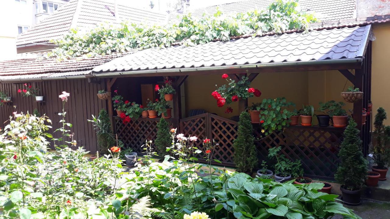 Villa Casa Ioana Braşov Eksteriør billede