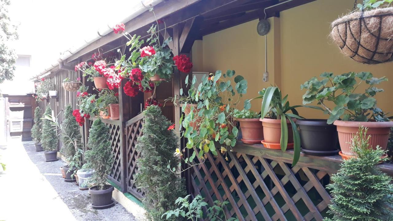 Villa Casa Ioana Braşov Eksteriør billede