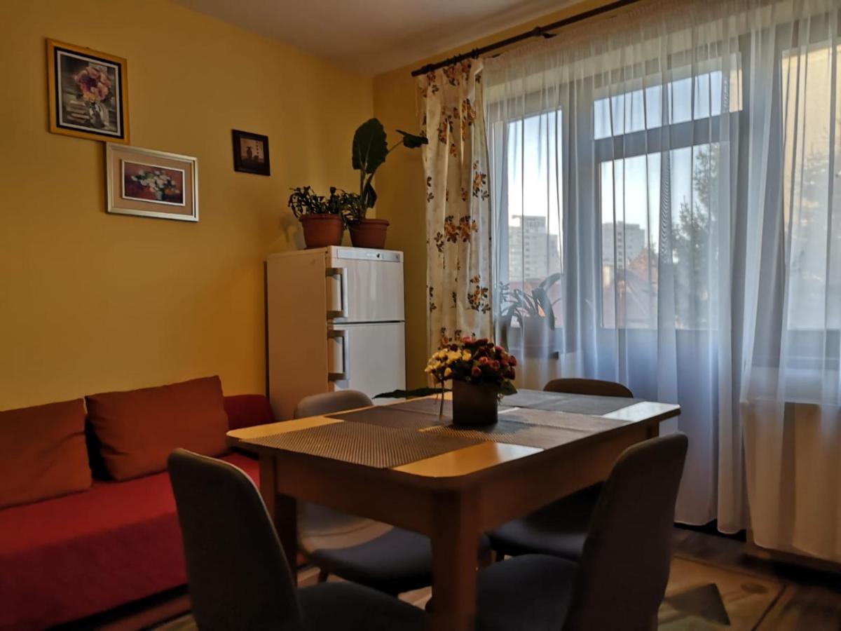 Villa Casa Ioana Braşov Værelse billede
