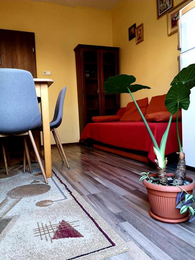 Villa Casa Ioana Braşov Værelse billede
