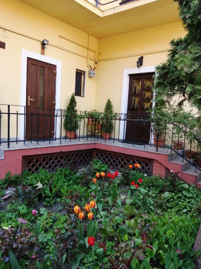 Villa Casa Ioana Braşov Eksteriør billede