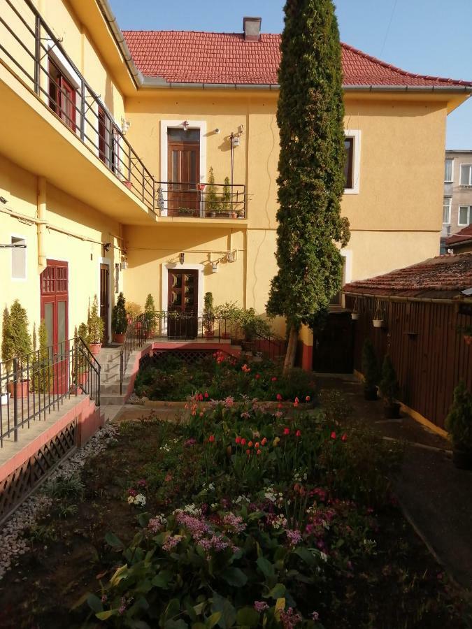Villa Casa Ioana Braşov Eksteriør billede